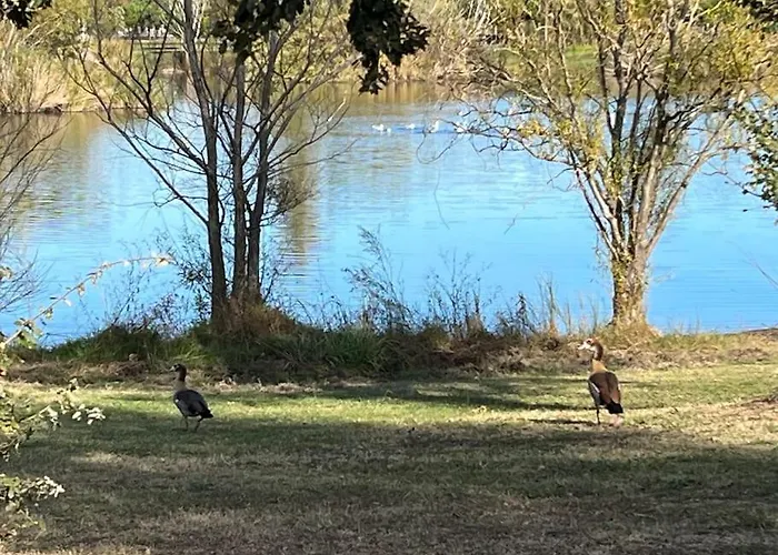 Appartement Encantador En Playa De Aro *