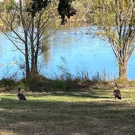 Appartement Encantador En Playa De Aro *