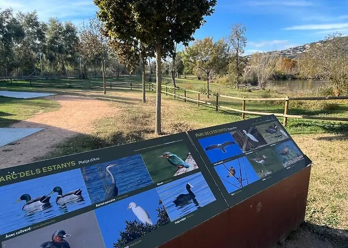 Appartement Encantador En Playa De Aro Castell-Platja d'Aro